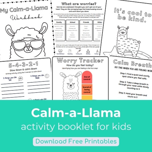 Calm-A-Llama Activity book