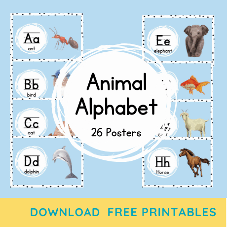 Animal Alphabet Posters - 26 Pages