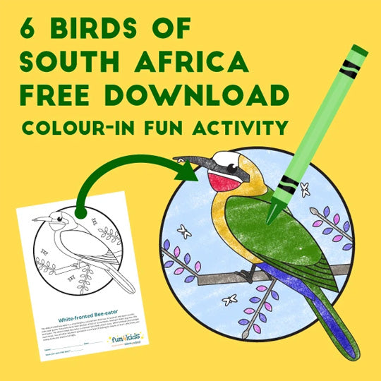Birds of South Africa | Colour-in Activity