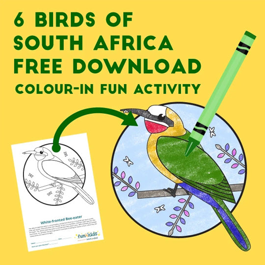 Birds of South Africa | Colour-in Activity | Labels4school – Labels4School