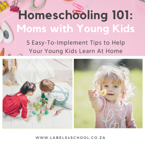 Homeschooling 101: Moms with Young Kids