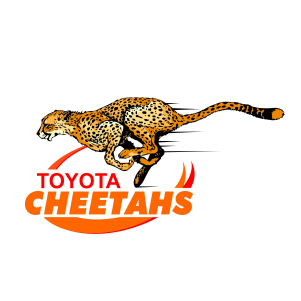 Cheetahs - Designer Name Labels