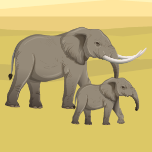 Safari Park - Designer Name Labels