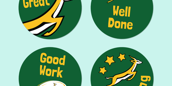 Sports Teams - Springbok Merit Labels