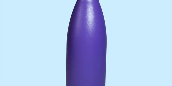 Thermos Bottle - Royal Purple
