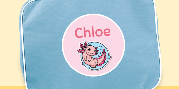 Light Blue Subject Sorter - Customise your own