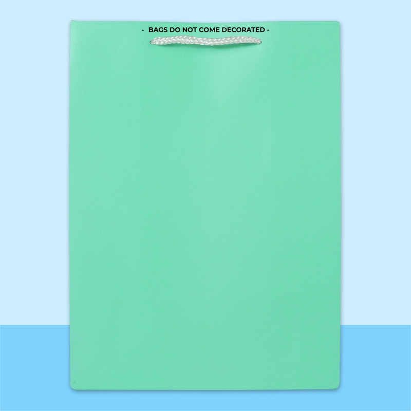 Mint gift bag 