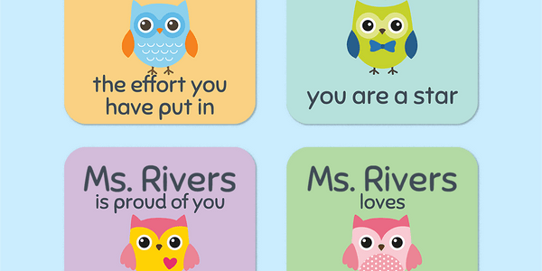Personalised Little Owls Merit Stickers