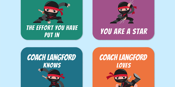 Personalised Ninjas Merit Stickers