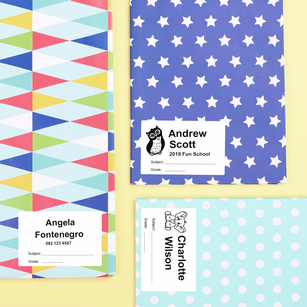 Basic Label Pack | 164 labels | Labels4School