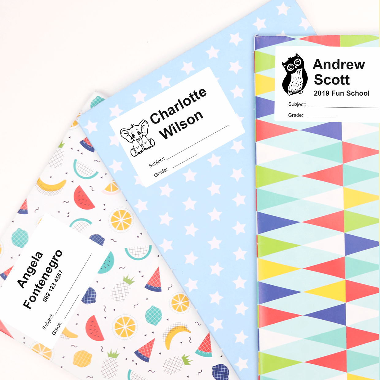 Basic Label Pack | 164 labels | Labels4School